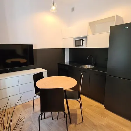 Szczytowa Kamienica Blisko Centrum Appartement